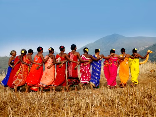 Donne in sari colorati di spalle